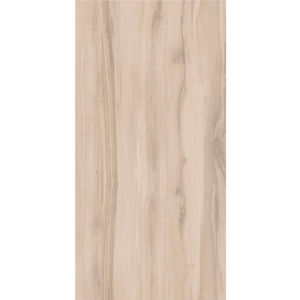 PORCELANATO DELTA 60X120 R60 CAJA IN ACETINADO A CX C/2,88M² - 930171 - CAJA R60