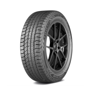 PNEU Goodyear 16 205/55 R16 EAGLE SPORT 2 - 915800 - 1914251
